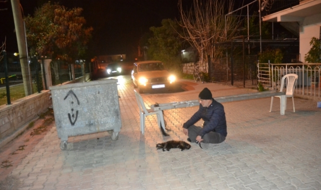Baktığı sokak kedisi ezilince, sokağı kapatıp eylem yapmıştı.O eylem ses getirdi. 