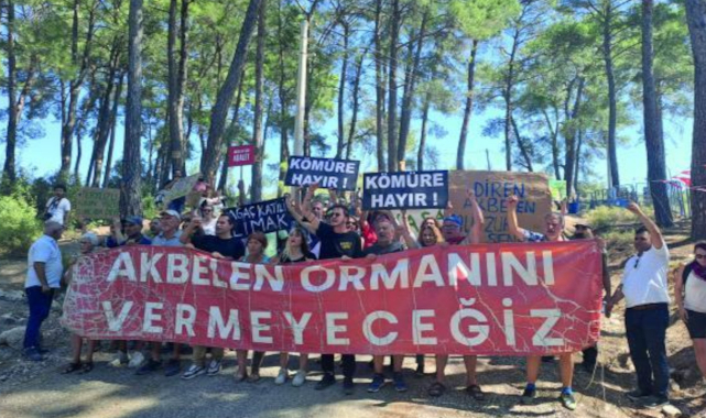 Akbelen'de acele kamulaştırma: Danıştay'dan yürütmeyi durdurma kararı 