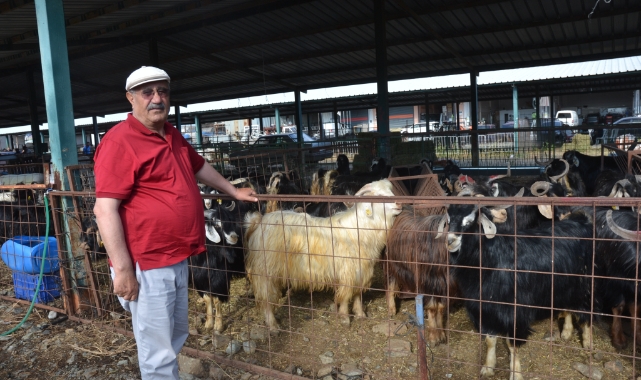Ortaca’da kurbanlık pazarı durgun: “Piyasa ölü”