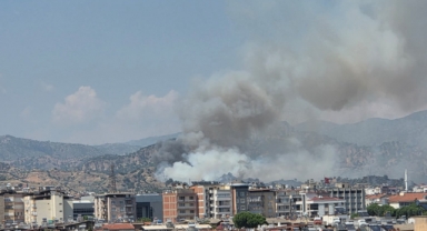 Aydın'da tarım arazisinde yangın 