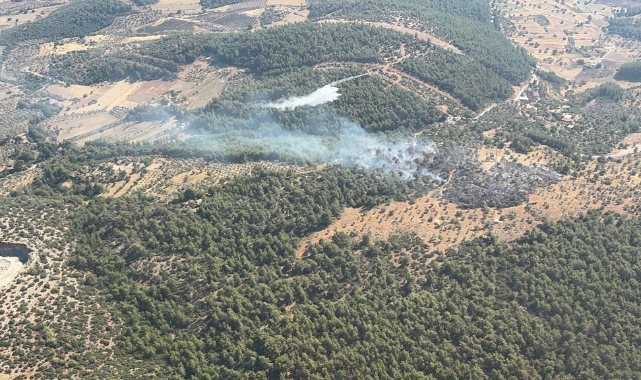 Muğla ve çevresinde çıkan yangınlar kısa sürede kontrol altına alındı