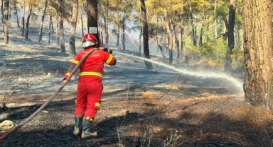 Muğla'da peşpeşe yangın müdahale devam ediyor. 