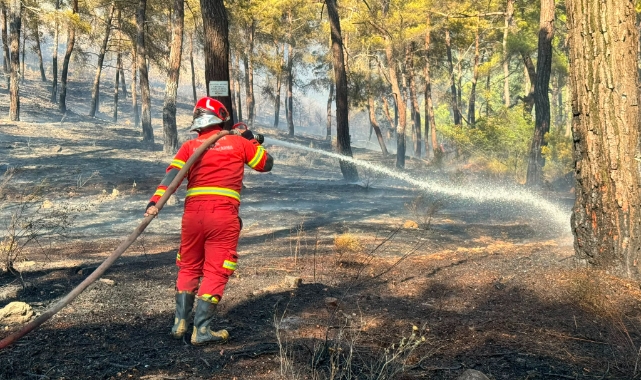 Muğla'da peşpeşe yangın müdahale devam ediyor.