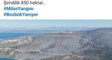 Niçin yakıldığı anlaşılıyor değil mi 