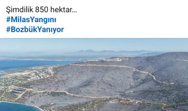 Niçin yakıldığı anlaşılıyor değil mi 