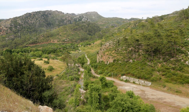 MUĞLA’DA BÜYÜK YANGINLARIN 5. YILINDA YANAN ALANLAR YEŞİL ÖRTÜSÜNE KAVUŞTU