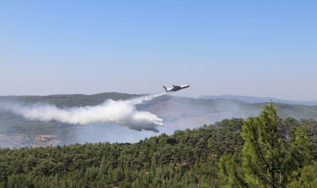 Muğla'da orman yangını! 3 ev boşaltıldı, kara yolu trafiğe kapatıldı