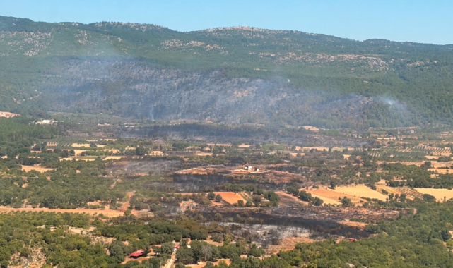 Muğla'da orman yangını! 3 ev boşaltıldı, kara yolu trafiğe kapatıldı 