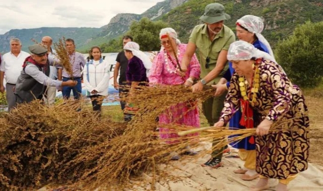 2. Gökova Susamı Hasat Festivali büyük bir coşkuyla başladı.