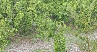 Sağanak Yağış ve Dolu
