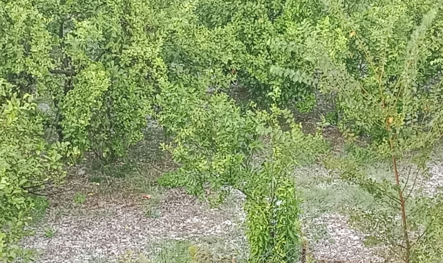 Sağanak Yağış ve Dolu