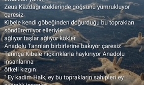 ANADOLU'DAKİ YANGINLAR